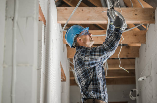 Best Industrial Electrical Services  in Grand Ledge, MI