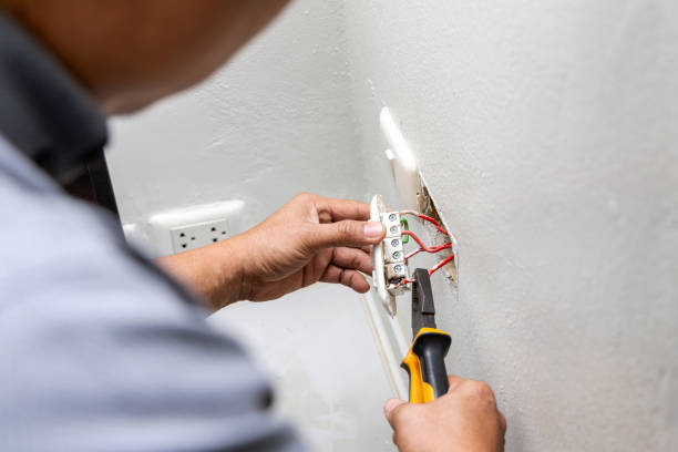 Best Electrical Troubleshooting Services  in Grand Ledge, MI