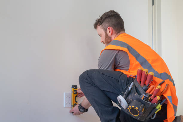 Best Electric Panel Repair  in Grand Ledge, MI